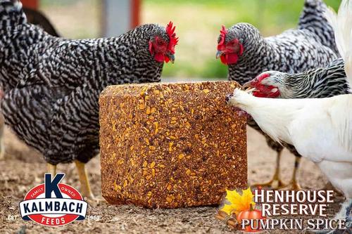 Show full view: Kalmbach Feeds Henhouse Reserve Pumpkin Spice Flavored Treat Block for Chickens, 20-lb block slide 2 of 4