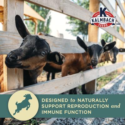 Show full view: Kalmbach Feeds Milk Maker Goat Feed, 50-lb bag slide 5 of 10