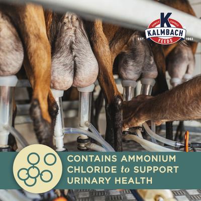 Show full view: Kalmbach Feeds Milk Maker Goat Feed, 50-lb bag slide 6 of 10