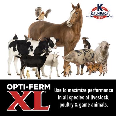 Show full view: Kalmbach Feeds Opti-Ferm X-Large Yeast Livestock Feed, 50-lb bag slide 5 of 7