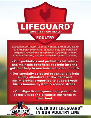 Show full view: Kalmbach Feeds Organic 17% Layer Crumbles Chicken Feed, 35-lb bag slide 3 of 8