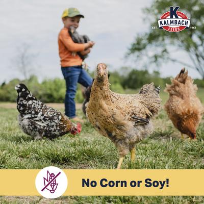 Show full view: Kalmbach Feeds Organic Henhouse Reserve Soy & Corn Free Chicken Feed, 30-lb bag slide 6 of 9