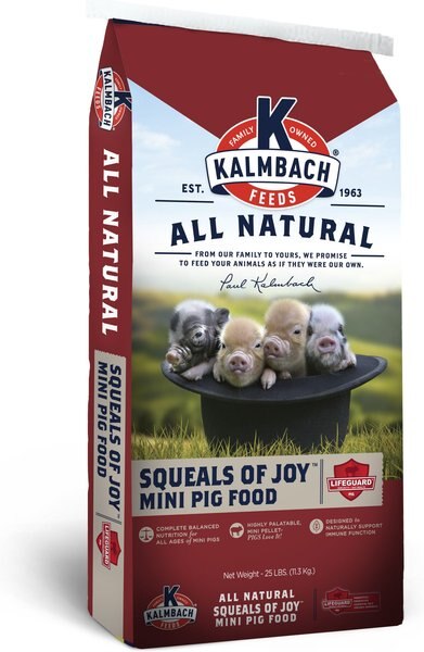 Kalmbach Feeds Squeals of Joy Mini Pig Feed