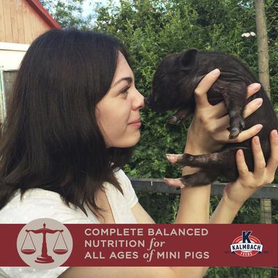 Show full view: Kalmbach Feeds Squeals of Joy Mini Pig Feed, 25-lb bag slide 4 of 10