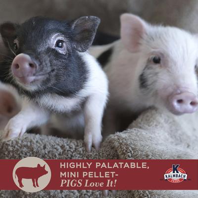 Show full view: Kalmbach Feeds Squeals of Joy Mini Pig Feed, 25-lb bag slide 5 of 10