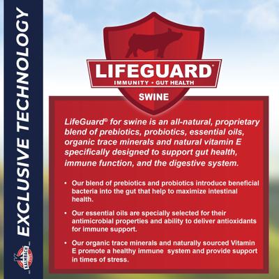 Show full view: Kalmbach Feeds Squeals of Joy Mini Pig Feed, 25-lb bag slide 7 of 10