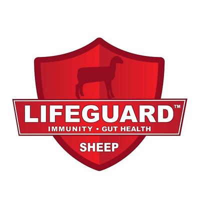 Show full view: Kalmbach Feeds Start Right Lamb Creep Young Sheep Feed, 50-lb bag slide 3 of 5