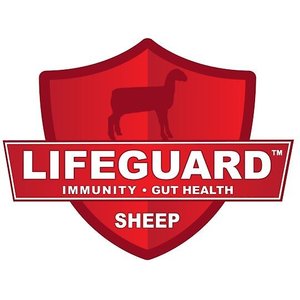 Kalmbach Feeds Start Right Lamb Developer Sheep Feed, 50-lb bag