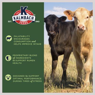 Show full view: Kalmbach Feeds Start Right Preconditioner Cattle Feed, 50-lb bag slide 4 of 7