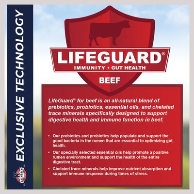 Show full view: Kalmbach Feeds Start Right Preconditioner Cattle Feed, 50-lb bag slide 6 of 7