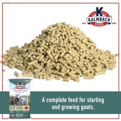 Show full view: Kalmbach Feeds Start Right Young Goat Feed, 50-lb bag slide 3 of 10