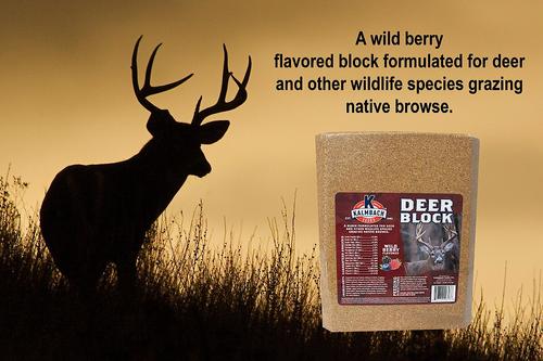 Show full view: Kalmbach Feeds Wild Berry Flavored Deer Block, 30-lb block slide 3 of 5