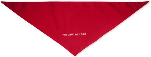 Show full view: Kate Spade New York Dog Bandana, Follow My Lead Colorblock, Medium/Large slide 1 of 2