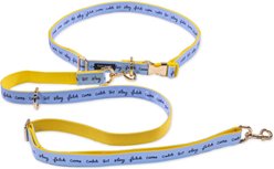 Kate Spade New York Hands Free Raining Polyester Cat & Dog Leash, One Size: 5-ft long, 1-in wide