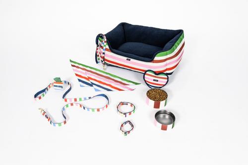 Show full view: Kate Spade New York Non-Skid Stainless Steel Dog Bowl, Adventure Stripe, Small: 2-cup slide 2 of 2