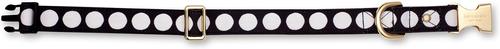 Show full view: Kate Spade New York Polyester Dog Collar, Art Dot, Medium/Large: 15 to 24-in neck, 1-in wide slide 2 of 3