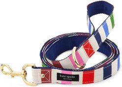Kate Spade New York Polyester & Nylon Standard Dog Leash, Adventure Stripe, Large: 6-ft long, 1-in wide