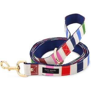 Kate Spade New York Polyester & Nylon Standard Dog Leash, Adventure Stripe, Large: 6-ft long, 1-in wide