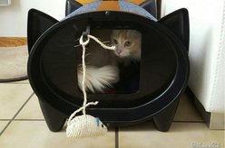 KatKabin SkratchKabin Covered Cat Bed, Blueberry slide 2 of 3