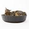 Show in main carousel: Katris Pre-Assembled Nest Scratcher Lounge Cat Bed, Black, Medium slide 1 of 11