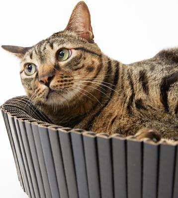 Show full view: Katris Pre-Assembled Nest Scratcher Lounge Cat Bed, Black, Medium slide 5 of 11