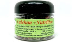 KatsAquatics Calcium + Nutrition Tablets Fish Food, 1.7-oz jar 