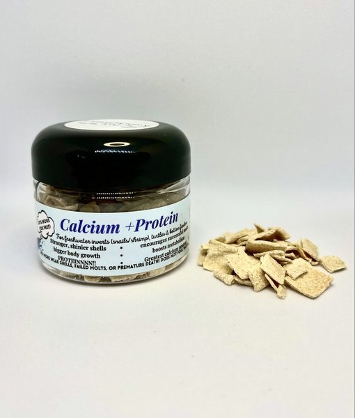 KatsAquatics Calcium + Protein Tablets Fish Food, 1.7-oz jar