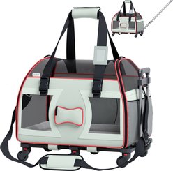 Katziela Bone Cruiser Pro Airline Approved Bag Dog & Cat Carrier, Gray & Red, 16-in