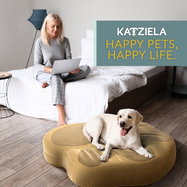 Show full view: Katziela Paw Shaped Pillow Dog & Cat Bed, Blue, Medium: 30-in slide 6 of 7