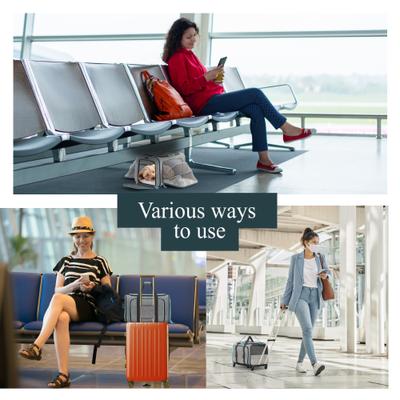 Show full view: Katziela Rolling Rover Airline Approved Bag Dog & Cat Carrier, 18-in, Gray & Blue slide 7 of 10