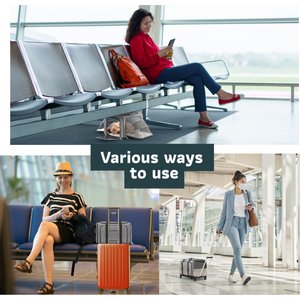 Katziela Rolling Rover Airline Approved Bag Dog & Cat Carrier, 18-in, Gray & White