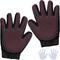 Show in main carousel: Katziela Silicone Dog Grooming Glove, Black slide 2 of 8