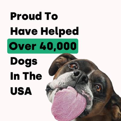 Show full view: Kayode Canine NutriGreens Chews Vitamin & Probiotic Supplement for Dogs, 90 count slide 10 of 10