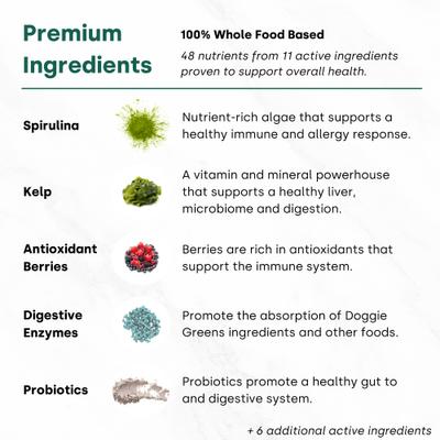 Show full view: Kayode Canine NutriGreens Chews Vitamin & Probiotic Supplement for Dogs, 90 count slide 7 of 10
