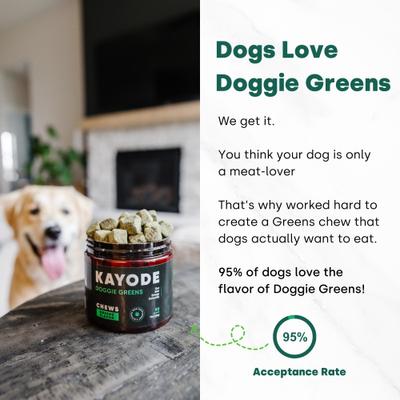 Show full view: Kayode Canine NutriGreens Chews Vitamin & Probiotic Supplement for Dogs, 90 count slide 6 of 10