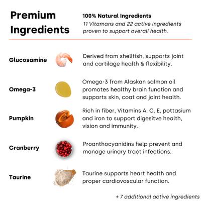 Show full view: Kayode Daily Multi Turkey & Pumpkin Flavored Chews Vitamin Supplement for Dogs, 90 count slide 7 of 10