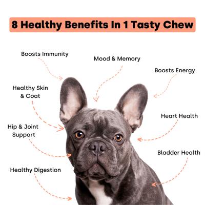 Show full view: Kayode Daily Multi Turkey & Pumpkin Flavored Chews Vitamin Supplement for Dogs, 90 count slide 3 of 10