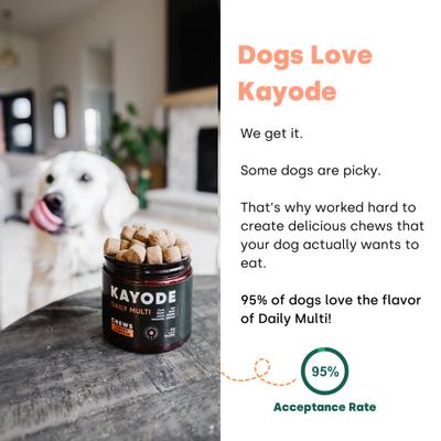 Show full view: Kayode Daily Multi Turkey & Pumpkin Flavored Chews Vitamin Supplement for Dogs, 90 count slide 6 of 10