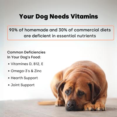 Show full view: Kayode Daily Multi Turkey & Pumpkin Flavored Chews Vitamin Supplement for Dogs, 90 count slide 9 of 10