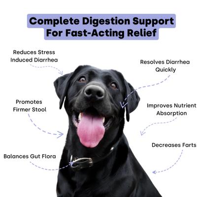 Show full view: Kayode Ultimate Digestion Smoked Turkey Flavored Chews Digestive Aid for Dogs, 90 count slide 3 of 10