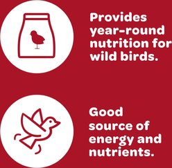 Kaytee All American Wild Bird Food, 5-lb bag slide 2 of 8