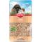 Show in main carousel: Kaytee Aspen Small Animal Bedding, 20-L slide 1 of 11