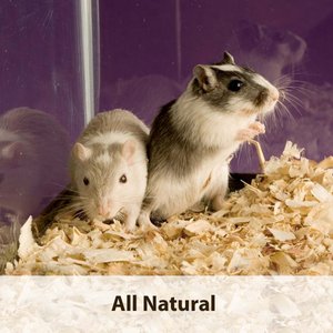 Kaytee Aspen Small Animal Bedding, 226.5-L