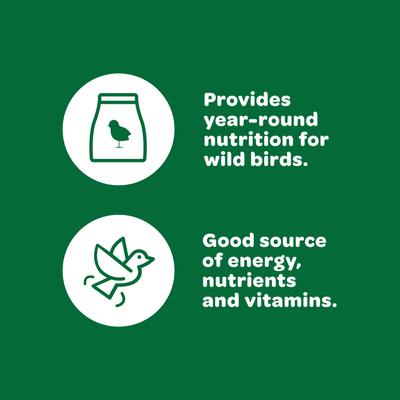 Show full view: Kaytee Basic Blend Wild Bird Food, 20-lb bag slide 3 of 11