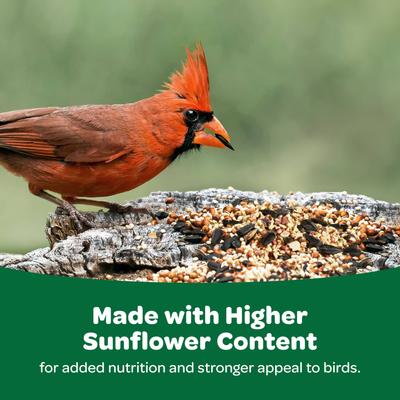 Show full view: Kaytee Basic Blend Wild Bird Food, 20-lb bag slide 6 of 11