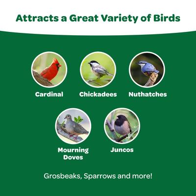 Show full view: Kaytee Basic Blend Wild Bird Food, 20-lb bag slide 5 of 11