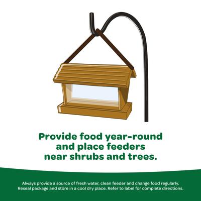 Show full view: Kaytee Basic Blend Wild Bird Food, 20-lb bag slide 7 of 11