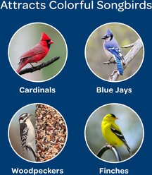 Kaytee Birders' Paradise Blend Sunflower, Safflower & Peanuts Songbird Wild Bird Food, 16-lb bag slide 2 of 9