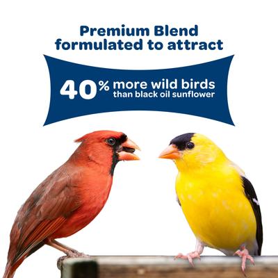 Show full view: Kaytee Birders' Paradise Blend Sunflower, Safflower & Peanuts Songbird Wild Bird Food, 16-lb bag slide 4 of 11