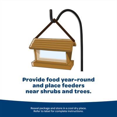 Show full view: Kaytee Birders' Paradise Blend Sunflower, Safflower & Peanuts Songbird Wild Bird Food, 16-lb bag slide 6 of 11